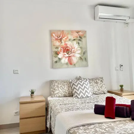 Apartment In Avenida Alay, 2